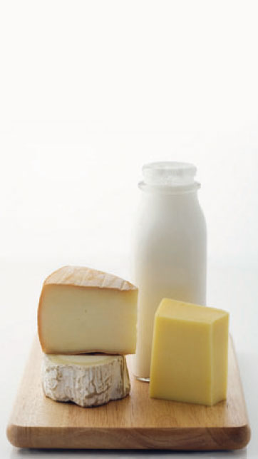 Milk Product Manufacturing